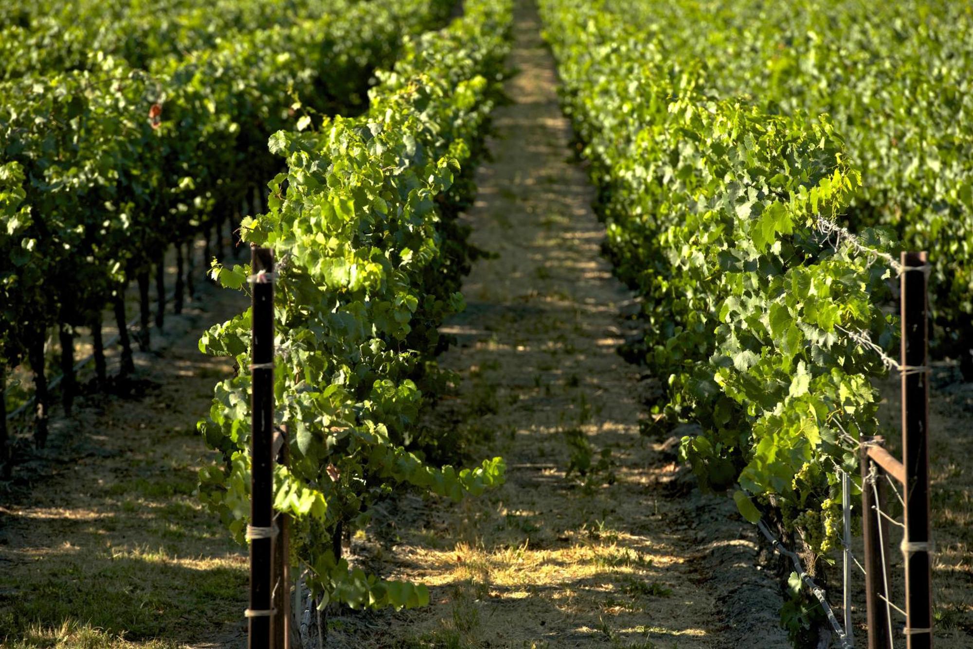 Agritur Maso Carpene Villa Rovereto  Exterior photo