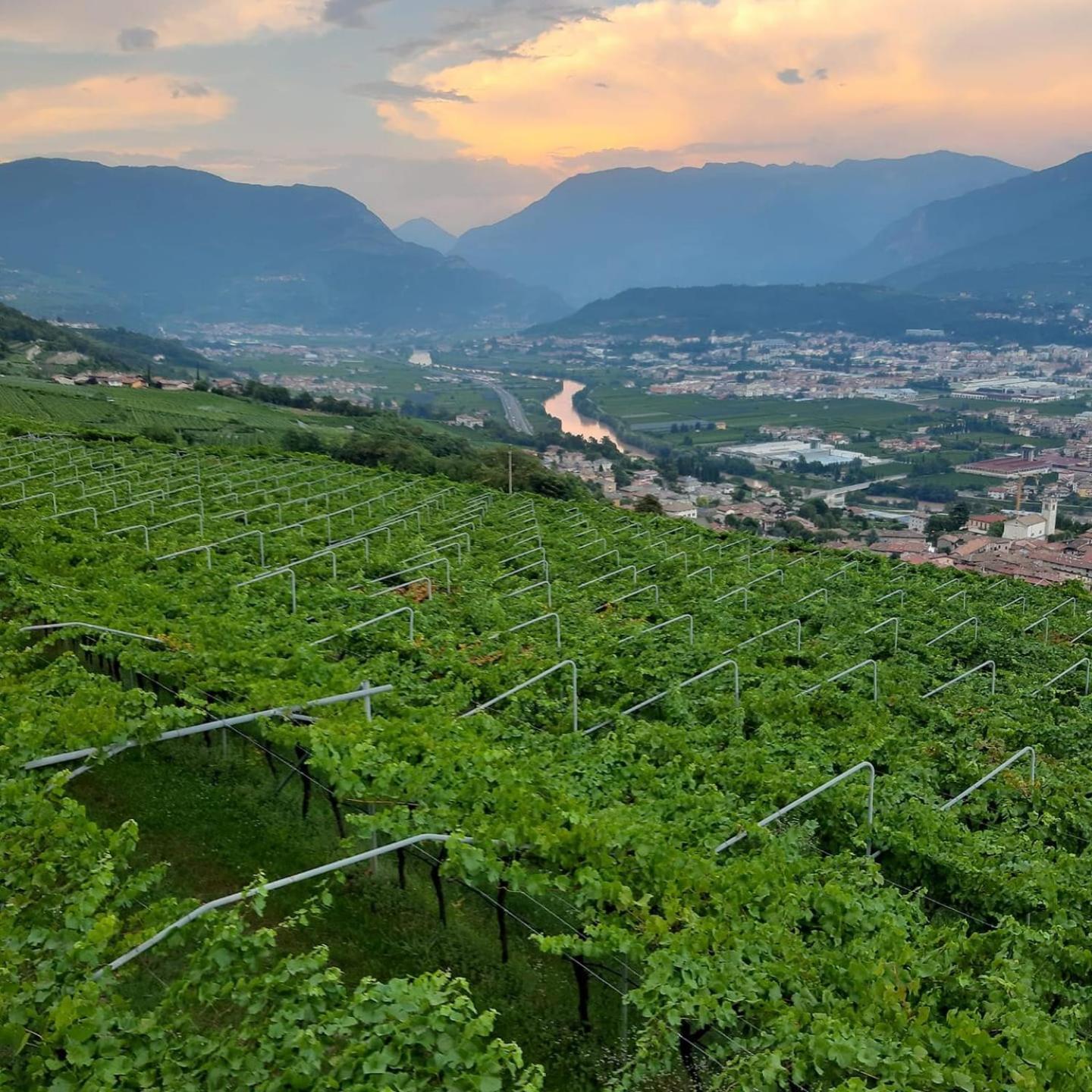 Agritur Maso Carpene Villa Rovereto  Exterior photo