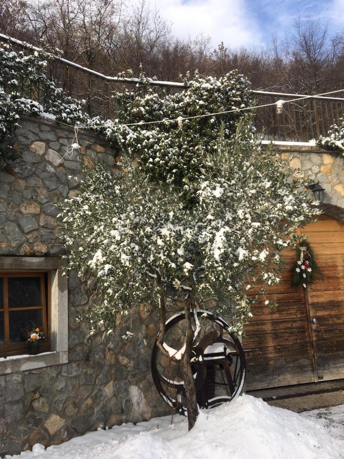 Agritur Maso Carpene Villa Rovereto  Exterior photo