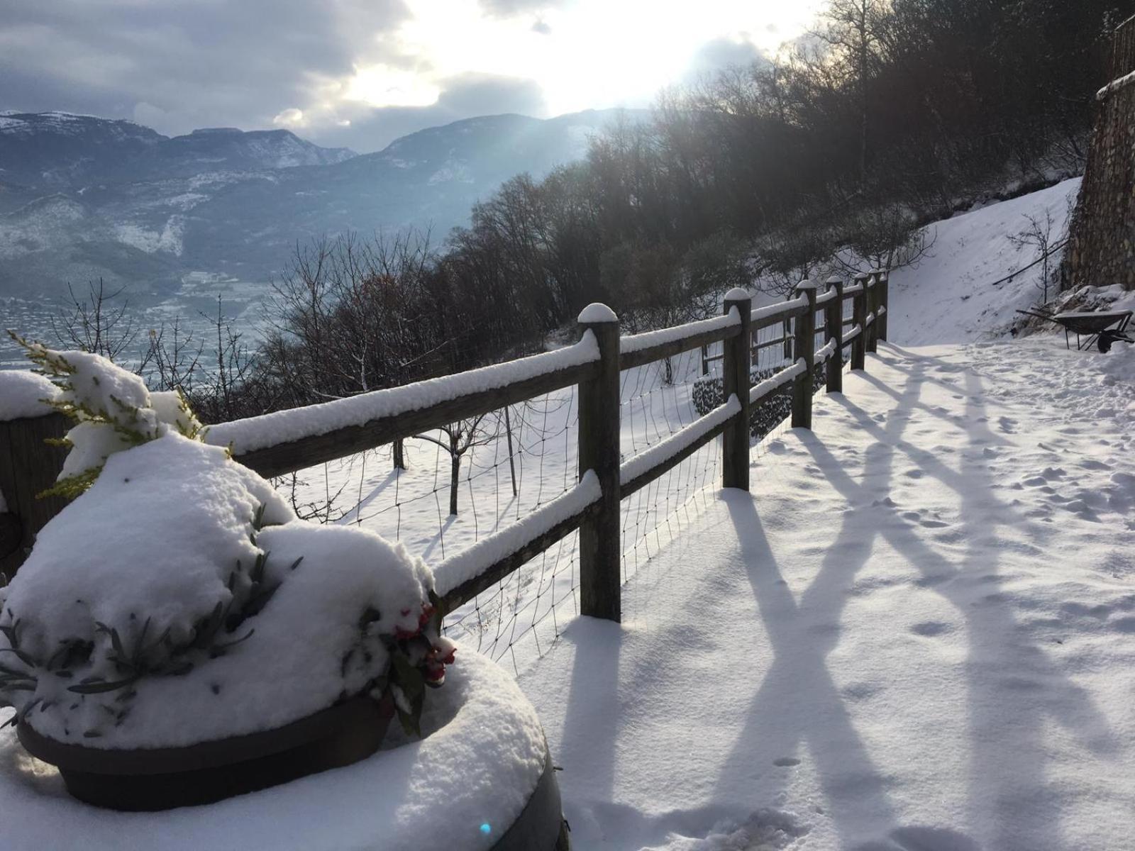 Agritur Maso Carpene Villa Rovereto  Exterior photo